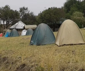 2 days Tanzania camping safari to Lake Manyara, and Ngorongoro Crater