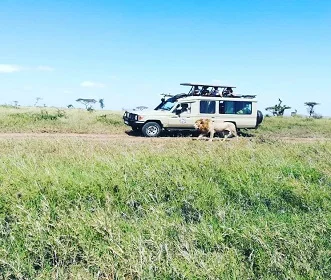 5 days Tanzania safari