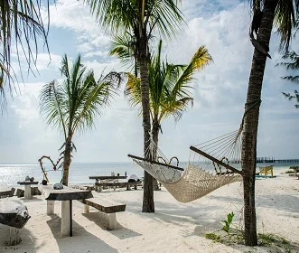 6 Days Dolphins & Stone Town Tour In Zanzibar Beach