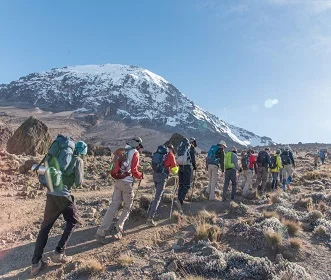 8 days Kilimanajro Climbing Lemosho route