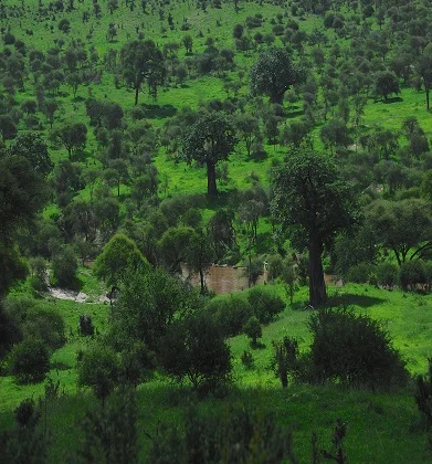 Tarangire National Park