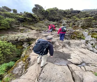 Group Joining Rongai route 7 days Kilimanjaro Trekking