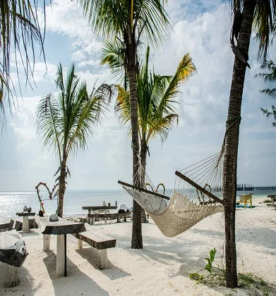 10 days Tanzania safari and Zanzibar Beach holidays package