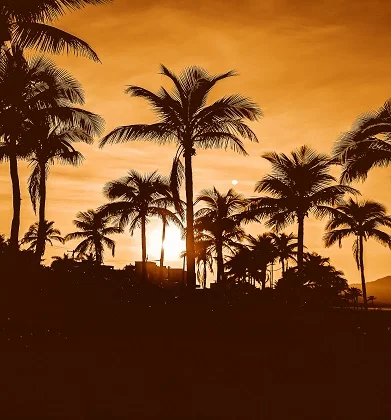 8 days Tanzania safari & Zanzibar Beach Excursion