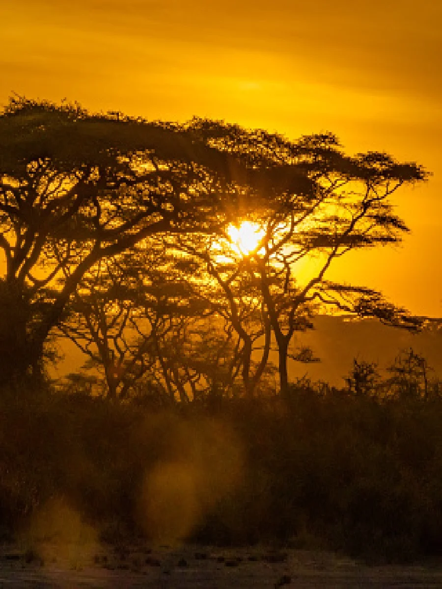 5 days Tanzania Luxury safari 