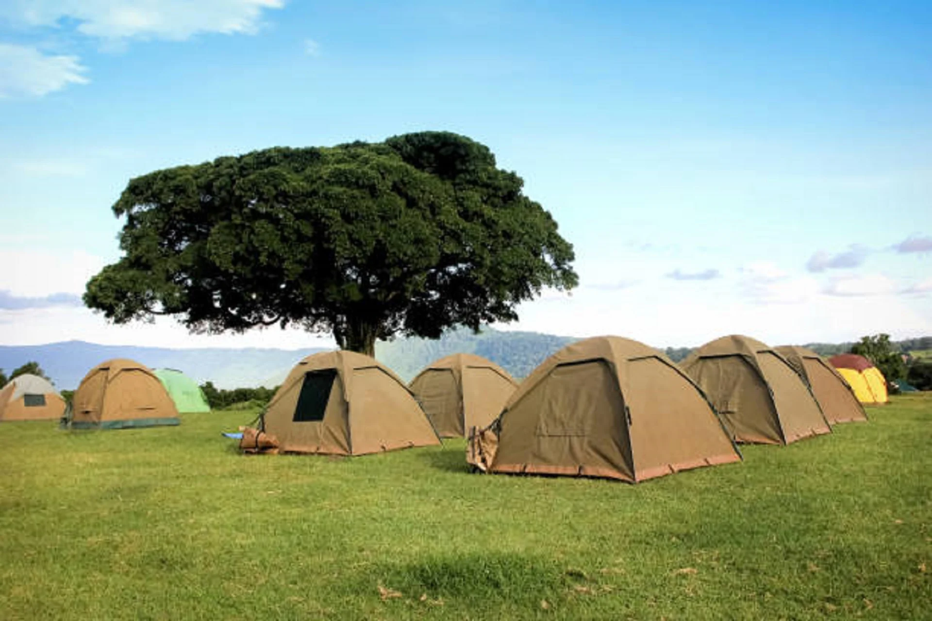 Tanzania Camping Budget safari