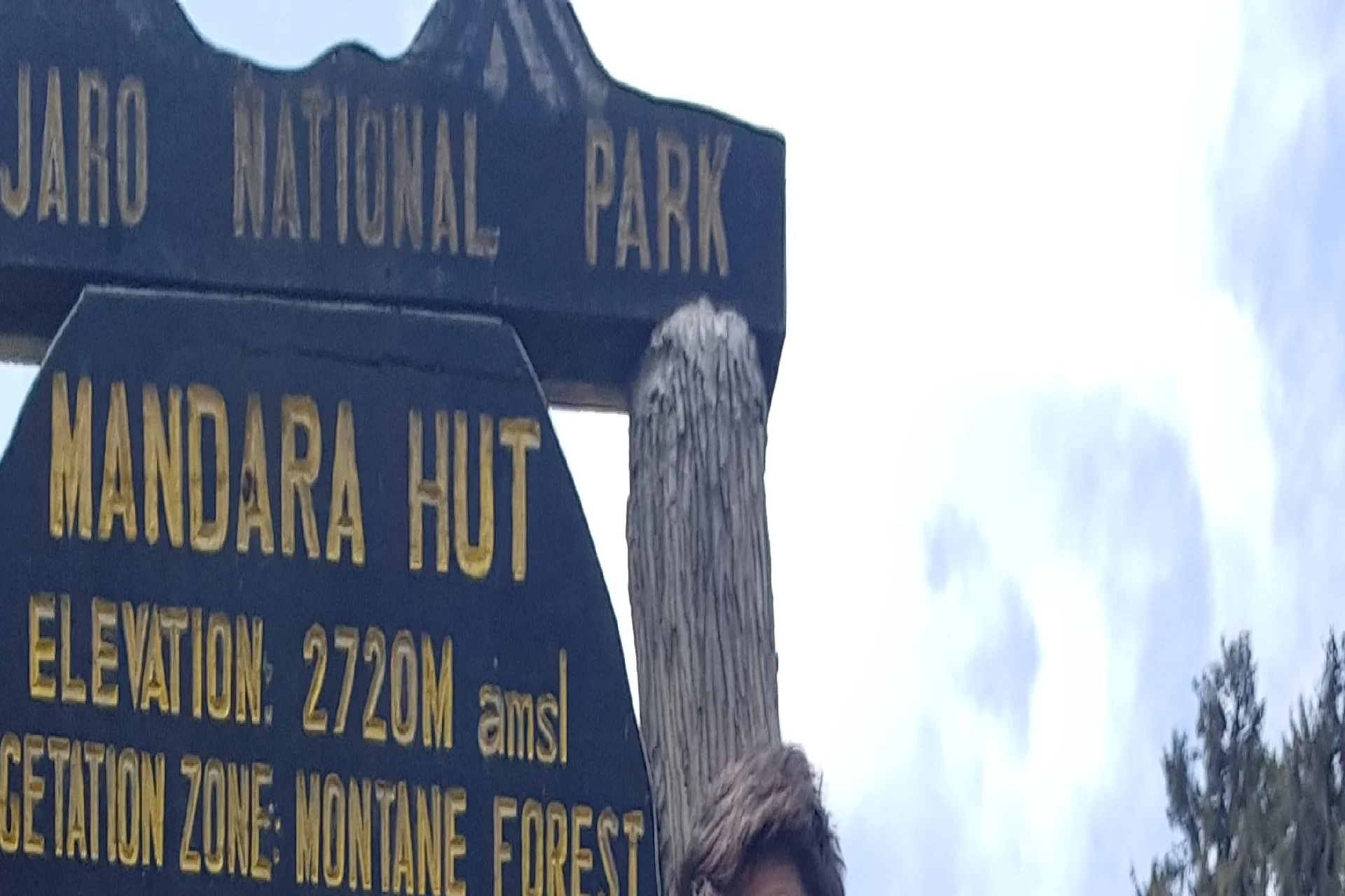 Tanzania Kilimanjaro Hiking 