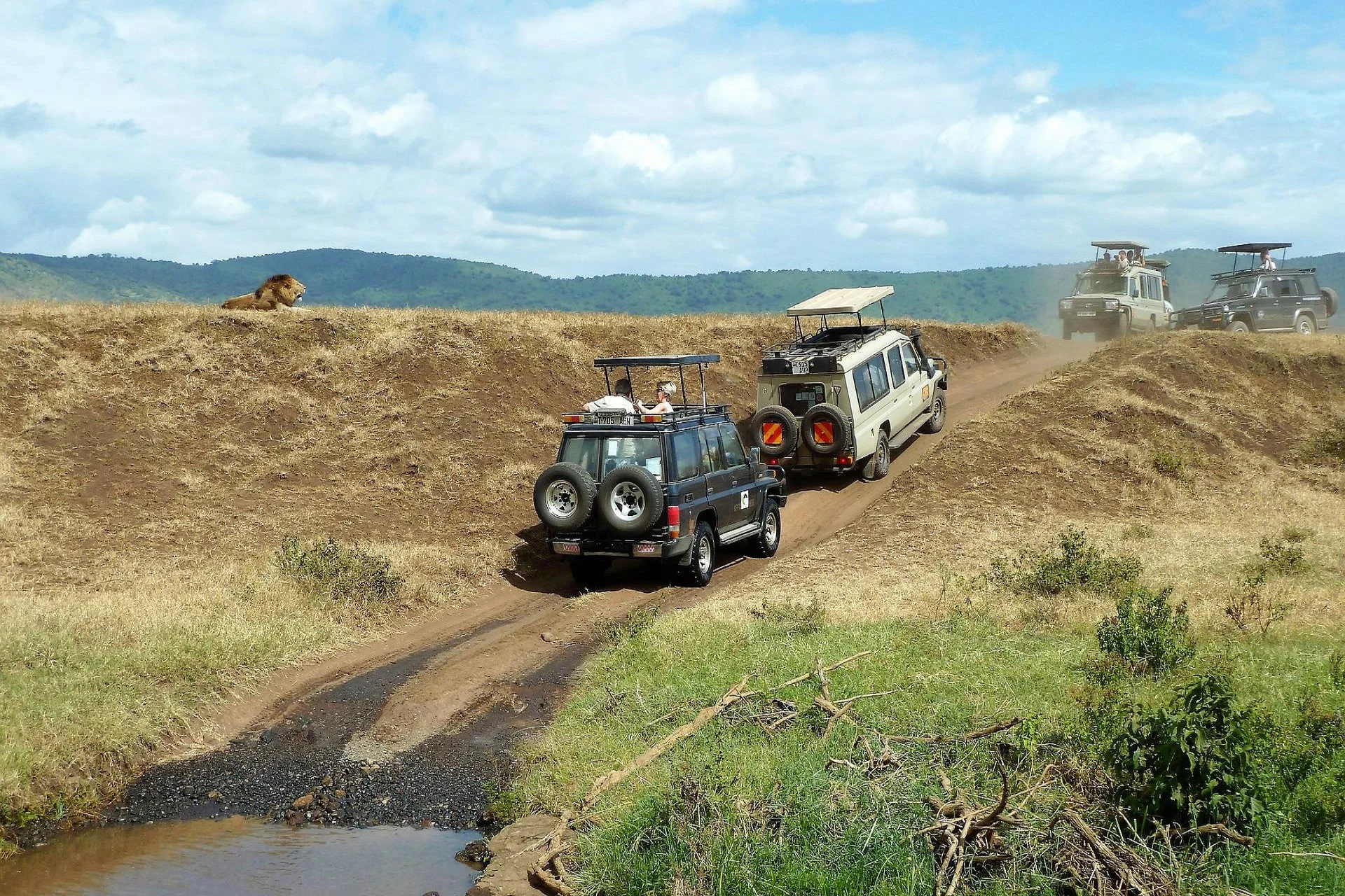 2 days camping safari to Tarangire and the Ngorongoro Crater